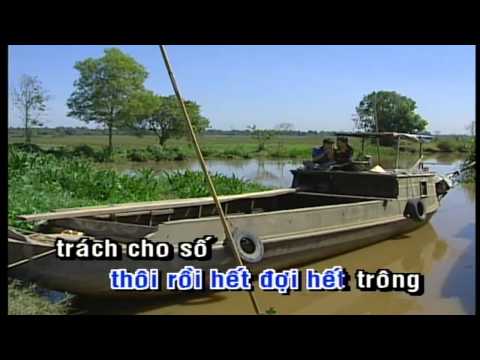 Chim Sao Ngay Xua - Quang Le KARAOKE