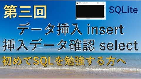 【SQLite】第三回テーブル(table)にデータを挿入(insert)して、挿入したデータを確認(select)★