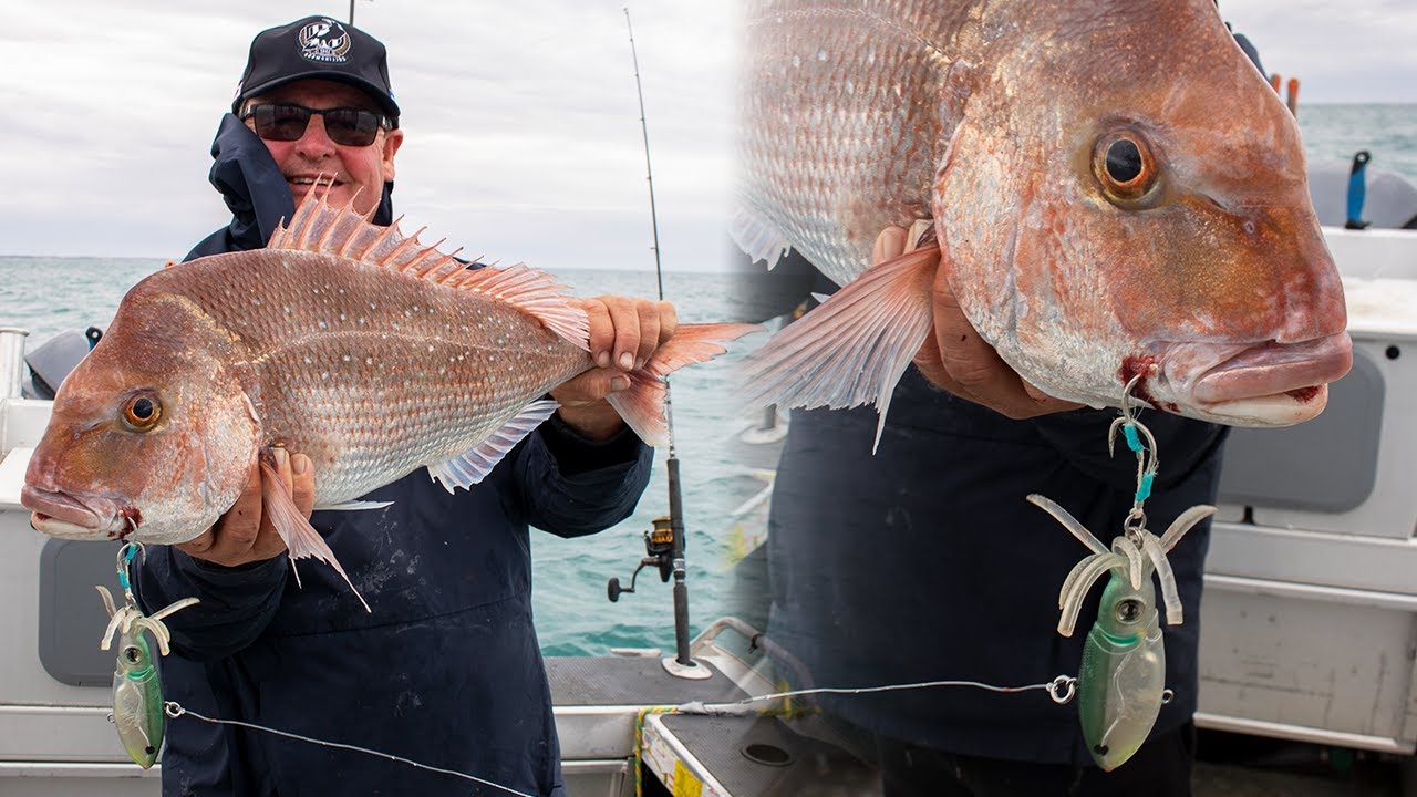 Snapper Smashing Squidtrex & Slaying Squads of Squid