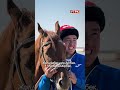 Кыргыздын намысын коргогон көк бөрүчүлөр