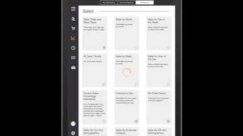 Totals report Salon Iris App