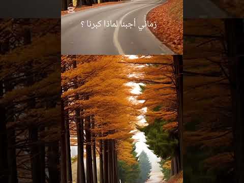 قصيدة زماني أجبنا لماذا كبرنا