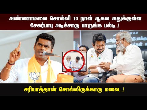 அண்ணாமலை சொல்லி 10 நாள் ஆகல அதுக்குள்ள சேகர்பாபு அடிச்சாரு பாருங்க பல்டி..!
