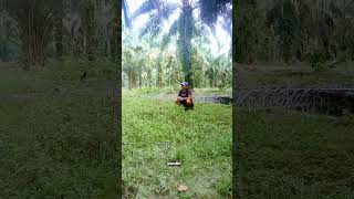 kangaen aku dek😱🤣😭#comedy #katakatalucu #vidiokocak #lucu #vidiokocak #funny #soundlucu #ngakak