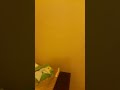 في مدينة الدمام