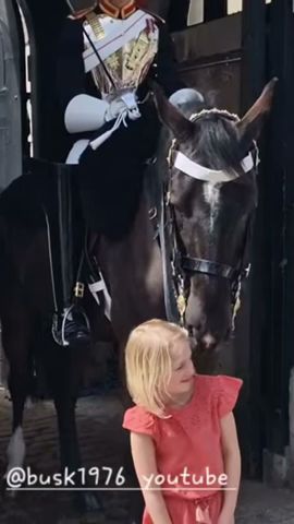 Horse takes out hair clip #thekingsguard