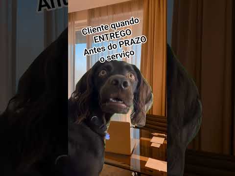 Video entregar antes do prazo serviço antes cliente fica BUGADO feliz