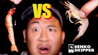 Florida Fishing: Artificial Gulp Shrimp VS Live Shrimp