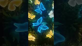 Transform any space with our Custom 3D Acrylic LED Butterfly Lights! 🦋💡