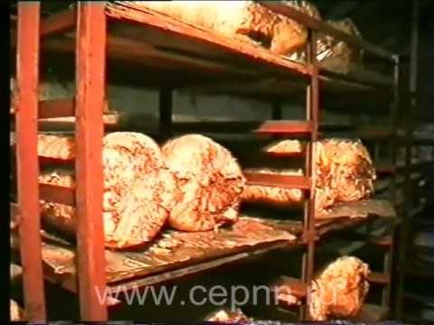 Журнал Школа Грибоводства Журнал Школа Грибоводства