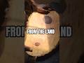 Elm Cutting Board Made from the Land