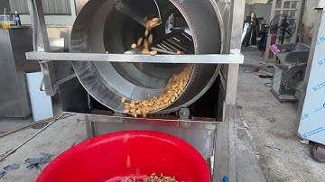 (Phát trực tiếp) - Máy rửa lạc, đậu phộng, gừng, nghệ, nông sản - Máy rửa lồng quay giá rẻ tại Xưởng