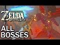 Zelda Breath of the Wild: All Bosses