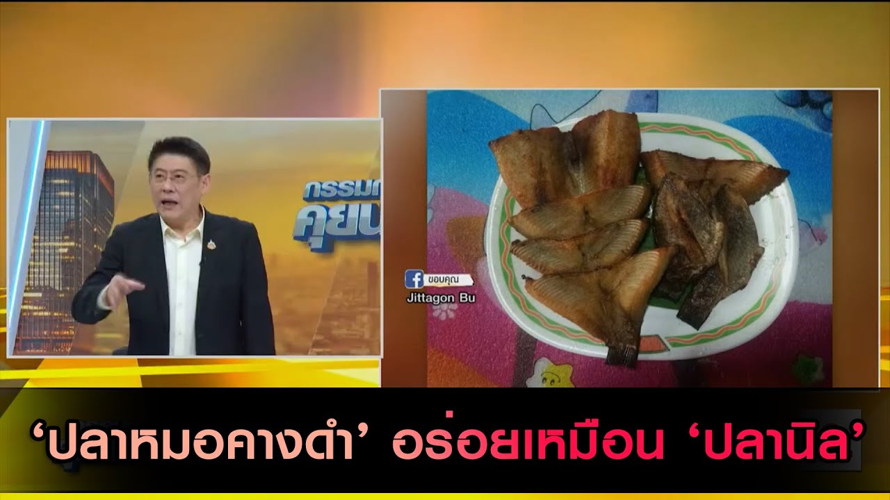 กรรมกรข่าวลองชิมแล้ว! ร่วมใจกันกิน 'ปลาหมอคางดำ'