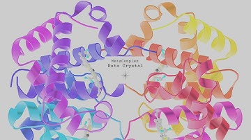 MetaComplex - Discrete Control