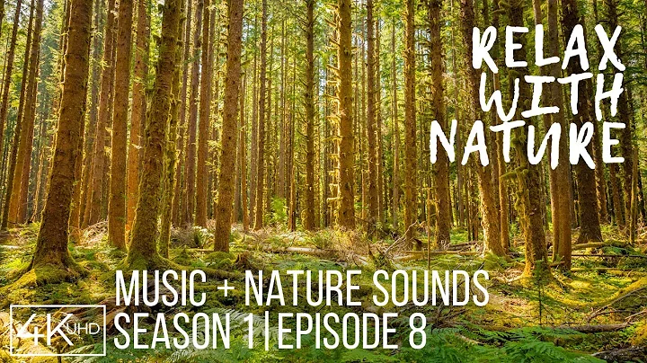 Beautiful Nature Video of Most Stunning Landscapes | Relax with Nature + Music & Real Sounds #8