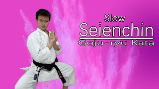 Goju-ryu Kata Seienchin （Slow）