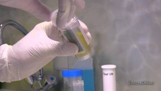 Download Lagu Urineonderzoek in de huisartspraktijk MP3