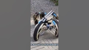 Spider Military Robot