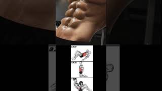 perfect sixpack Exercises for gaining