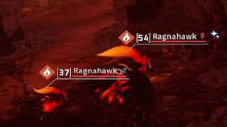 NO WAY a Lucky Ragnahawk when I was looking for Blazehowls to catch, I must be dreaming a pal dream