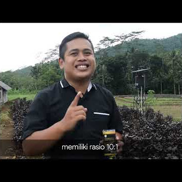 Review Ambedoc Obat Ambeien Wasir Best Seller