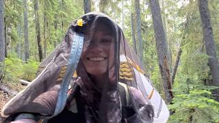 My Silly Mosquito Solution + Oregon Mini-Goal | PCT Record Attempt 50 (2025)