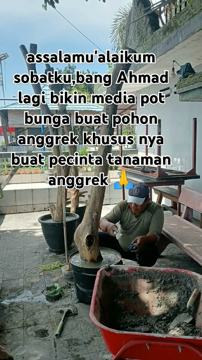 media pot bunga buat tanaman anggrek di rumah #vidioshorts viral 81