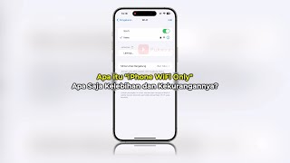 Apa itu iPhone WiFi Only? Apa Saja Kekurangan dan Kelebihannya? (Info Penting!) screenshot 4