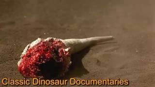 Classic Dinosaur Documentaries-(BBC-Discovery Channel)
