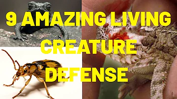 9 AMAZING LIVING CREATURE DEFENSE----STRESS LESS