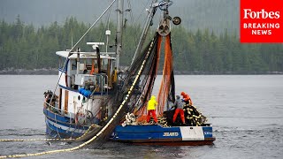 Democrats And Republicans Debate Changes To Magnuson-Stevens Fishery Act