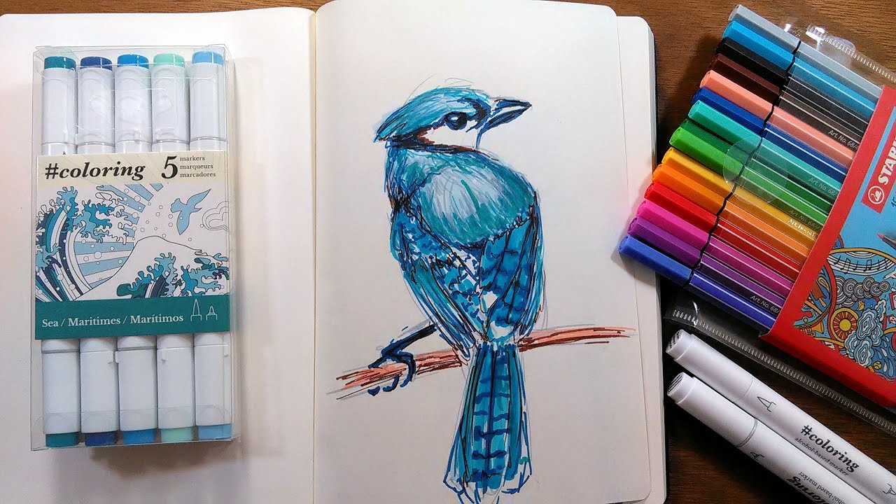 Blue jay in Markers Sketching Tutorial 