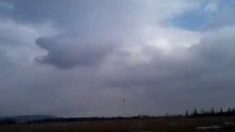 T-rex 450-Ar7200BX.mp4