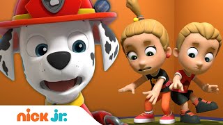 PAW Patrol Rescues Double Trouble Twins! w\/ Chase, Marshall \& Skye | Nick Jr.