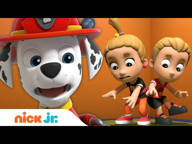 PAW Patrol - Rescues Twins - Comparatives/Superlatives