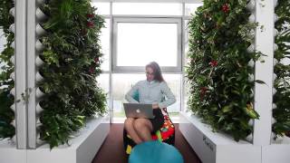 Pixel Garden Work HD