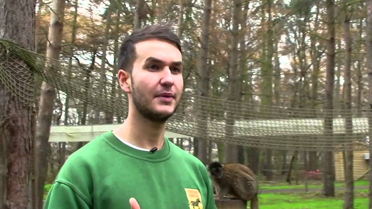 giraffes volleyball championship 2016 Yorkshire Wildlife Park Evolution Day Promotion Video