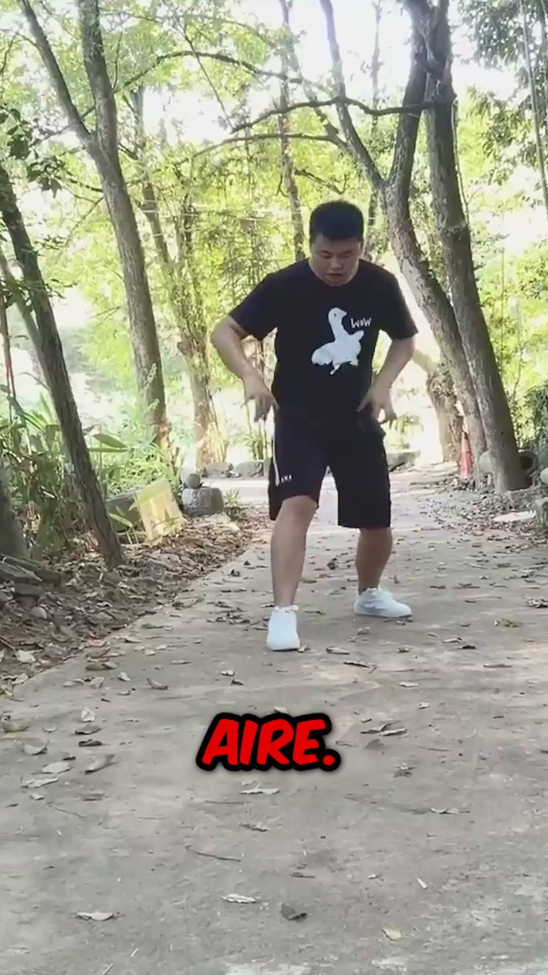 La forma de caminar en el aire ?