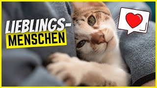 5 MenschenTypen die Katzen besonders lieben (Bist du dabei?)