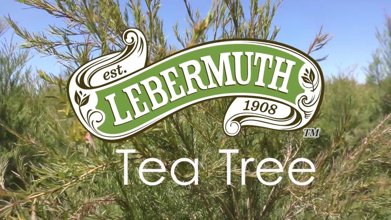 Australian Tea Tree Oil