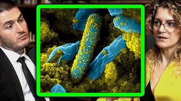 How life emerged on Earth | Sara Walker and Lex Fridman