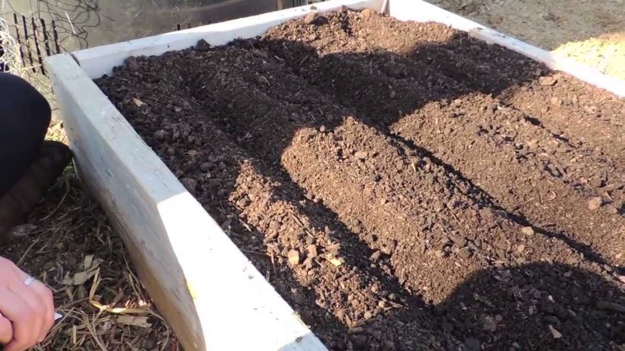 Planting Carrots in a Raised Bed - YouTube diagram of garden beds 