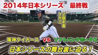 【日本シリーズ】幻のホームインをした男タガミ。史上初！守備妨害で日本一が決まった瞬間に塁上にいた。