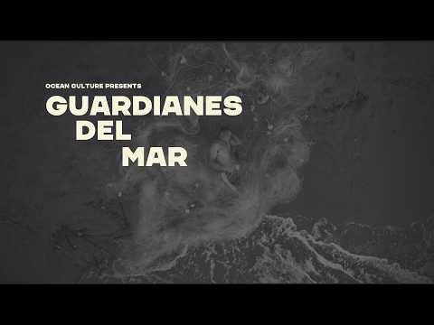 Guardianes del Mar: The Divers Protecting Colombia's Gulf of Tribugá
