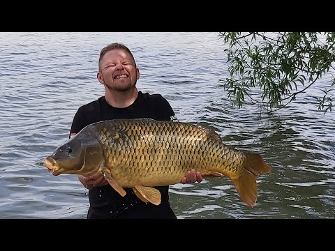 Videó: Hogyan Csalják Meg Az üzletek Az Eladásokat