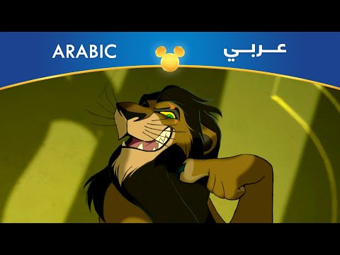 الأسد الملك إستعدوا مصري