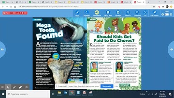 Nonfiction text feature video