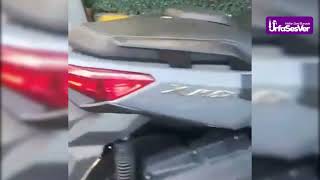 Yavruları Için Marketten Tavuk Çalan Kedi, Gülme Krizine Soktu