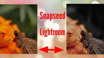 Snapseed and adobe Lightroom butterfly photo dark and faded edit tutorial ❤❤